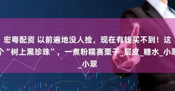 宏粤配资 以前遍地没人捡，现在有钱买不到！这个“树上黑珍珠”，一煮粉糯赛栗子_层皮_糖水_小翠