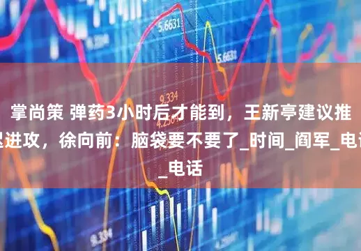 掌尚策 弹药3小时后才能到，王新亭建议推迟进攻，徐向前：脑袋要不要了_时间_阎军_电话