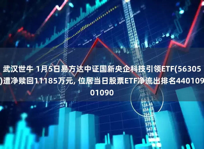 武汉世牛 1月5日易方达中证国新央企科技引领ETF(563050)遭净赎回11185万元, 位居当日股票ETF净流出排名4401090